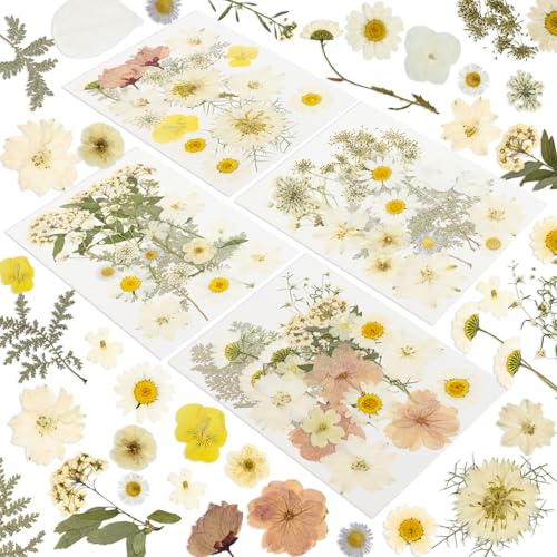 186 Pcs Dried Pressed Flowers for Resin Crafts, Real Natural Pressed Flowers and Leaves Kit Butterfly Stickers Vacuum Sealed Dry Flowers for DIY Epoxy Resin Jewelry Molds, Candle Soap Making, Nail Art - color: Ivory White 186pcs