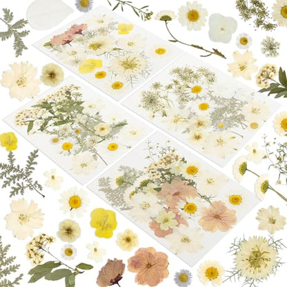 186 Pcs Dried Pressed Flowers for Resin Crafts, Real Natural Pressed Flowers and Leaves Kit Butterfly Stickers Vacuum Sealed Dry Flowers for DIY Epoxy Resin Jewelry Molds, Candle Soap Making, Nail Art - color: Ivory White 186pcs