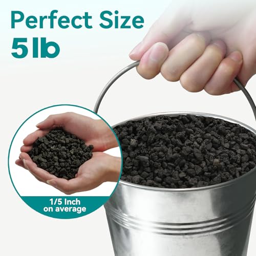 5lbs Small Lava Rocks for Plants Drainage, 1/5 Inch Black Gravel Mulch for House Plants, Succulent Rocks Pebbles for Planters,Cactus, Bonsai Tree, Pure Volcanic Rocks, Top-Dressing - color: Black 1/5 Inch