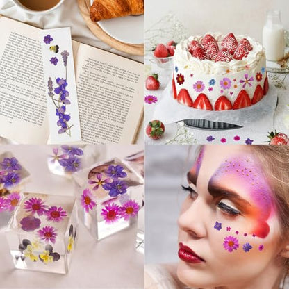 Dried Pressed Flowers Leaves Kit(120Pcs Purple) | Real Natural Flowers, Scrapbook Supplies, Candle & Soap Making, Jewelry Crafting, Phone Case Decor - color: 120pcs Purple