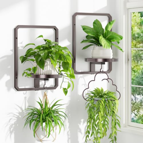 iDavosic.ly Wall Plant Picture Frame Holder Set of 2 for Indoor, Bronze - color: Bronze, 2-Pack, size: Rectangular