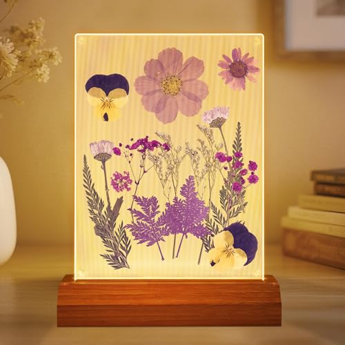 Dry Flower Frame Night Light, Bedroom DIY Pressed Flowers Kits Lamp With Sapele Wood Base, Home Living Room Decoration Gifts Idea For Mother Friend Lover - color: Purple Flower Frame Lamp 01