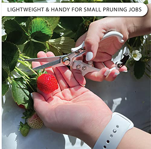 Precision Garden Trimming Scissors & Hand Pruner - White