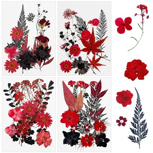 Cayway 64 PCS Dried Pressed Flowers for Resin, Red and Black Real Pressed Flowers, Dry Leaves Natural Dried Pressed Leaves for Christmas Art Crafts Resin Scrapbook (Red-Black-1) - color: Red-black-1