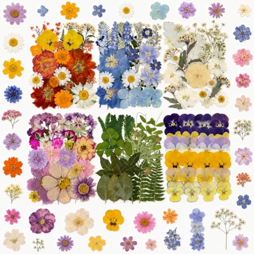Pressed Flowers for Resin, 144 PCS Real Natural Dried Flowers and Leaves for Crafts, Jewelry Making, Scrapbooking, Candle Soap DIY and Nail Art