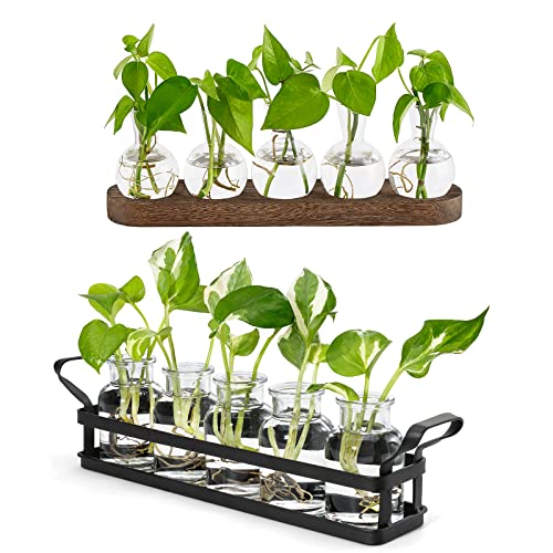 Mkono Desktop Plant Propagation Glass Vase Station Retro Plant Terrarium with Wooden Tray Bulb Flower Vase Container Perfect for Propagating Hydroponic Plants Home Office Decor Plant Lover Gift Idea