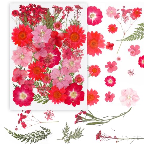 37Pcs Red Dried Pressed Flowers Natural Dried Flowers for Resin,Real Pressed Flowers for Crafts,Dry Flowers for Resin Molds DIY Scrapbookin Candle Jewellery Making - color: 37pcs Red