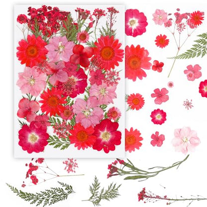 37Pcs Red Dried Pressed Flowers Natural Dried Flowers for Resin,Real Pressed Flowers for Crafts,Dry Flowers for Resin Molds DIY Scrapbookin Candle Jewellery Making - color: 37pcs Red