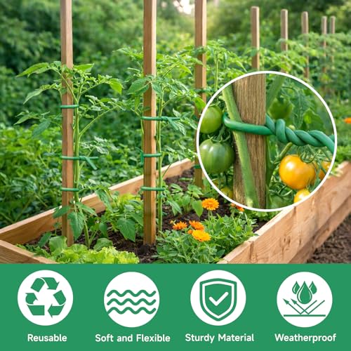 KINGLAKE Green Garden Wire with Pliers - 66 Feet 3.5mm Garden Ties Soft Plant Twist Ties Plant Wire for Climbing Plants Tomatoes Support Vines Vegetables Flowers Indoor & Outdoor Gardening Training - size: 3.5mm x 66ft