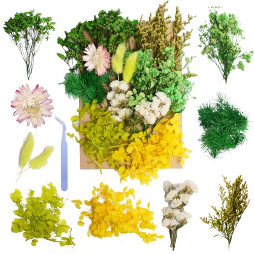 Real Dried Flowers for Resin, Natural Pressed Flowers (Green) | Natural mixed dried flower pack with tweezers for DIY resin,crafts& candles. - color: Green