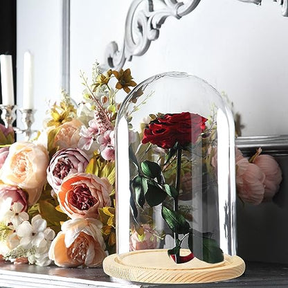 PATIKIL 4.7"x2.8" Clear Cloche Glass Dome, Glass Bell Jar Display Case Tabletop Centerpiece with Wooden Base for Plants Home Decor - size: 4.7"x2.8"