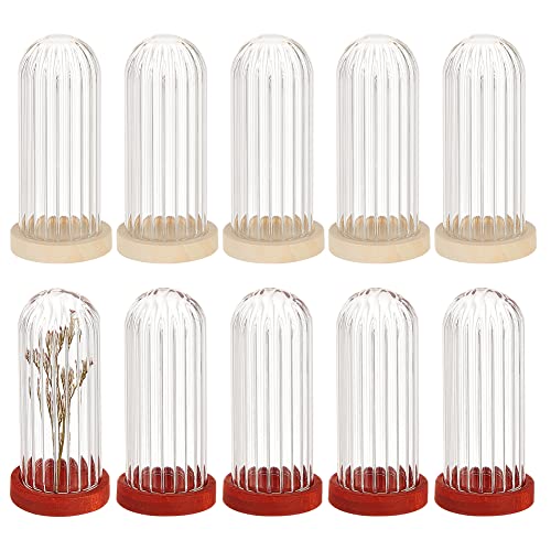 NBEADS 10 Pcs Mini Glass Dome, 1.96×0.78" Glass Display Dome Glass Cloche Dome Clear Glass Display Dome Cover with 2 Colors Wood Base for Centerpieces Plants Rocks Specimens Decorations Crafts - size: 1.97x0.61"
