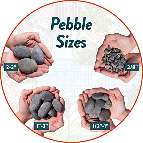 Mexican Beach Pebbles | 2000 Pounds of Smooth Unpolished Stones | Hand-Picked, Premium Pebbles for Garden and Landscape Design | Black, 2 Inch - 3 Inch - color: Black, size: 2 Inch - 3 Inch