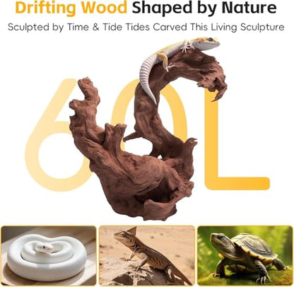 EFFIELER Natural Driftwood for Aquarium Decor – Unique Size Real Wood Branches for Fish Tank, Reptile Habitat, Terrarium, Hermit Crab, Shrimp Tank (11-14 INCH 2-Pack, Mopani Driftwood) - size: 11-14 INCH 2-Pack