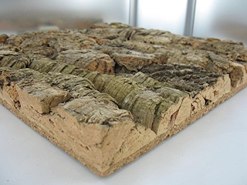 Jelinek Cork Natural Bark Wall Tile 12 x 12 Inch