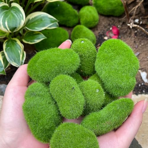5Pcs Artificial Moss Rocks Green Moss Stones for Garden Crafting Simulation Crafts Foam Fake Rock DIY Landscape Decor 5x7cm