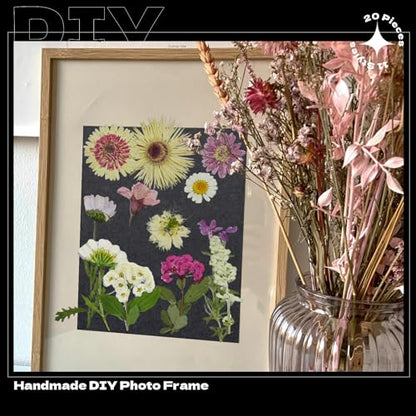 White Dried Pressed Flowers, 40Pcs Real Nature Flowers Set with Tweezers | Pressed Flowers for Resin DIY Jewelry Candle Soap Vase Making Nail Card Scrapbook Art Craft Floral Decor - size: 40 pcs White+Mixed Dried Flowers