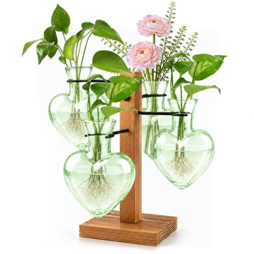 Plant Terrarium Propagation Station with Wooden Stand, 4 Glass Vases - color: Green