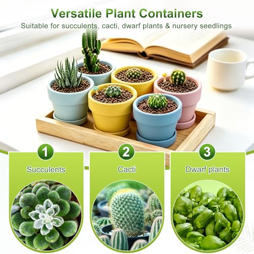 M METERXITY 6-Pack Shallow Terracotta Clay Pots, 4.3" Ceramic Small Plant Pots with Saucer and Drainage Holes for Succulent Plants/DIY Crafts, Terracotta Pottery Planters [Sky Blue] - color: Sky Blue