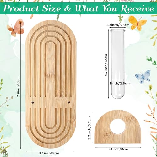 Beeveer 4 Sets Hanging Plant Propagation Stations Bamboo Wood Wall Mounted Test Tube Vase Rustic Decorative Glass Planter Holder Gift for Women Plant Lover Hydroponic Flowers Home and Office Decor