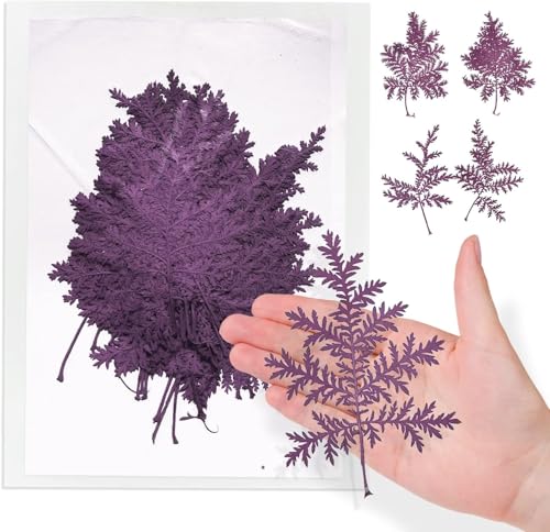 ALJ Purple Dried Leaves for Resin Crafts Decor, 42PCS Real Dried Artemisia Leaves, Dry Wormwood Leaf for Resin Mold DIY Pressed Leaf Art Craft DIY Embellishment Decorations - color: Artemisia Leaves-purple