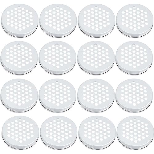 GORGECRAFT 16pcs Mason Flower Jar Insert Lid Plants Organizer Frog Lids Hexagon Pattern Glass Bottle Covers for Regular Mouth Mason Canning Jars Fixed Tools Home Office, 67mm - color: Hexagon