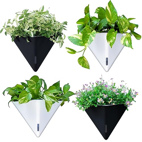 LaLaGreen Wall Planters for Indoor Plants (12in, 4 Pack) Self Watering Pots - color: Black X 2 Pack & White X 2 Pack