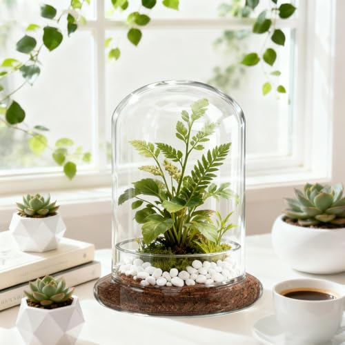 2 Pcs 5.9 x 8.46 Inch Glass Terrarium with Airhole and Base Clear Glass Dome Planter Display Container Plants Not Included for Office Desk, Balcony, Coffee Table