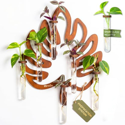 Leaf-Shaped Plant Hanging Propagation Stations with 6 Glass Vases & 1 Spare | Terrarium for Plants w/ Strengthened Glass Vases - Wooden Wall-Mounted Plant Propagation Stations for Plant Cuttings - 15”