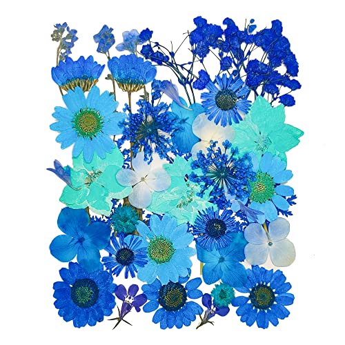 14 Types 37pcs Blue Dried Pressed Flowers for Resin Molds,YouthBro Real Natural Pressed Flowers for DIY Art Crafts,Candle Making, Nails Décor,Soap Making, Phone Case - color: Blue