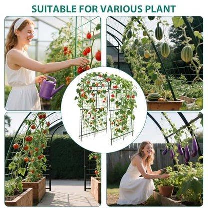 Garden Arch Trellis, 7.5FT Extra Tall Polyethylene-Coated Stainless Steel Garden Trellis for Climbing Plants, Vegetables, Flowers, Outdoor Pergola Arbor Wedding Party Decoration, Cucumber Trellis, Gar - size: Snap-Fit 7.6 x 6 x 4 Ft(9-Bar)