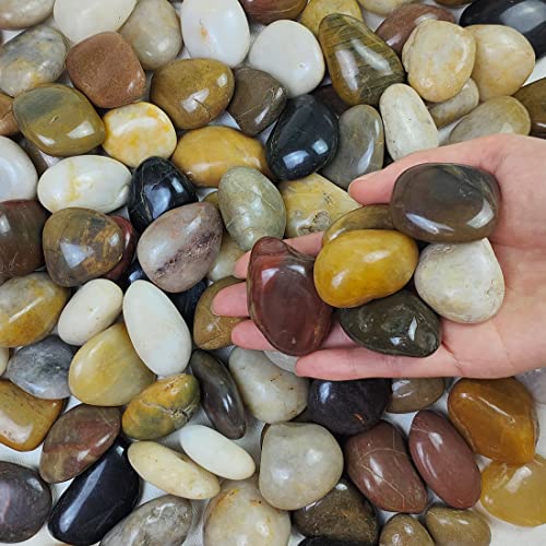 FANTIAN 10 lbs Stones for Plants, 1-2 Inch Pebbles for Indoor Plants - size: 1-2 Inch, style: 10 Pounds