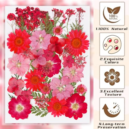 37Pcs Red Dried Pressed Flowers Natural Dried Flowers for Resin,Real Pressed Flowers for Crafts,Dry Flowers for Resin Molds DIY Scrapbookin Candle Jewellery Making - color: 37pcs Red