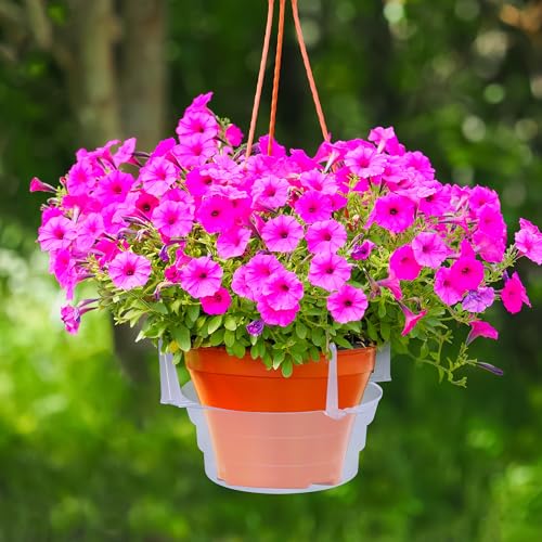 Adnee 15 Pcs 6 Inch Hanging Plant Water Catcher-Clear Plastics Plant Water Catcher Tray-Hanging Plant Saucers Drip Pans for Indoor Outdoor Hanging Basket Flower Pot - color: 6 Inch-15 Pcs