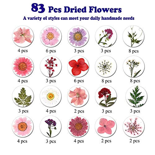 83 Pcs Pink Real Dried Pressed Flowers Natural Leave Petals for DIY Resin Molds Candle Jewelry Nail Crafts - color: Pink