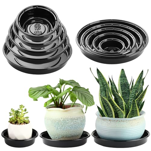 Plant Saucer 30 Pack Plant Trays for Pots 4/6/8/10/12 Inch Plastic Plant Saucers for Outdoors & Indoors Black Drip Trays for Potted Plants Flower Pot Plates to Catch Water Drainage Dishes No Holes - size: 4/6/8/10/12 Inch - 30 Pack