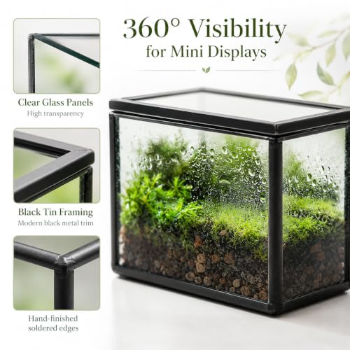 Mini Glass Terrarium Set of 2 with Lid, Tiny Rectangle Glass Succulent Terrarium Containers for Air Plants, Moss & Fairy Garden, Black Framed Tabletop Plant Holder, 4 x 2.8 x 2.4 & 2.8 x 2.4 x 4 in - color: Black