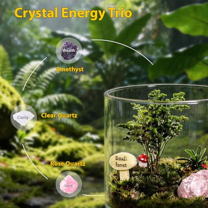 DIY Crystal Terrarium Kit - 21-Pieces All-In-One Starter Kit with Preserved Moss, Pumice, Crystals, Coconut Coir, Tools & Decor | Healing Gift for relaxing | Plants Lovers | Home & Desk Decor