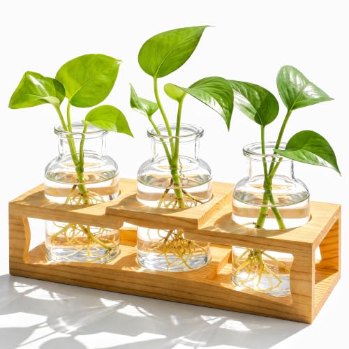 Eorbow Plant Propagation Station, Desktop Plant Terrarium with Wood Stand, Retro Propagation Vases Glass Planters for Indoor, Hydroponic Plant Propagating Jars for Home Office Decor, Plant Lover Gifts