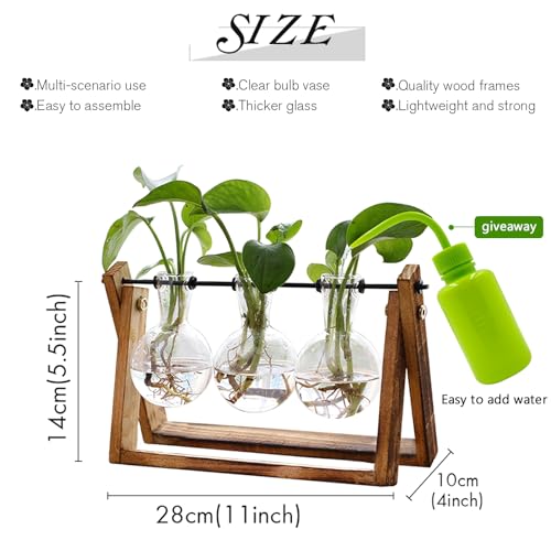 XXXFLOWER Plant Terrarium with Wooden Stand- 3 Bulb Vase+ Wall Hanging Propagation Station with 3 Star-Shaped Glass Vase
