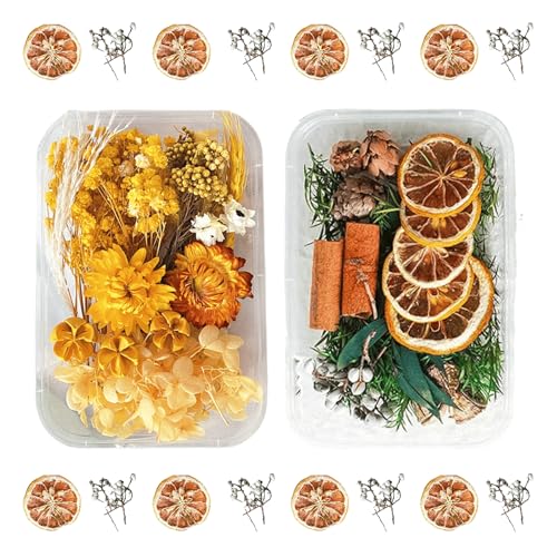 2PCS Dried Flowers Kit, Natural Dried Flowers Kit for DIY Crafts, Scrapbook, Card Making (Style6_10) - color: Style6_10