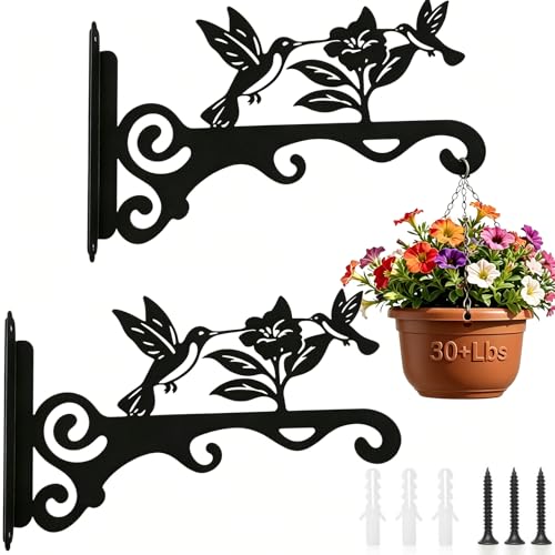Elegant Bird Pattern Wall Hooks - 10/12/14 Inch Metal Plant Hangers for Indoor & Outdoor - Rust-Resistant Bracket for Plants, Feeders, Chimes, Lanterns (2, Black, 10 inch) - color: Black, size: 10 Inch
