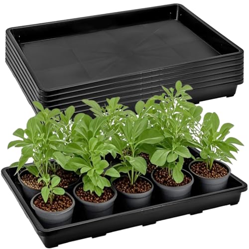 ZAVOOS 6 Pack Nursery Potting Trays with No Drain Holes