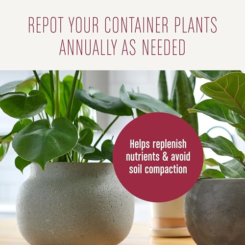 Miracle-Gro Houseplant Potting Mix, 4 qt. - size: 1 Pack, style: Houseplant
