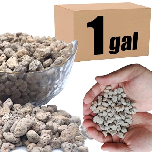 Organic Pumice for Bonsai and Horticultural 100% Natural (1 gallons, 3/8 inch) - color: 1 gallons, size: 3/8 inch