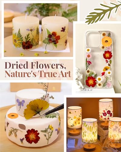 Real Dried Pressed Flowers for Resin Molds, Natural Bulk Floral Leaves