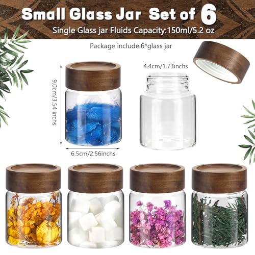 6 pc Glass Spice jars Glass Jars with Screw Lid 5 oz Acacia Wood Glass Herb Sugar Coffee Bean Ground Container Food Storage Canister for Candy Pantry Tea Seasoning Meal Prep Snack (6*150ml(5oz)) - color: 6*150ml(5oz)