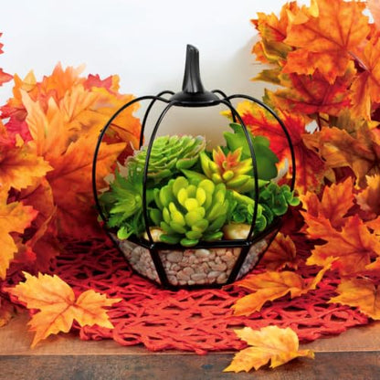 D'Eco Pumpkin Glass Terrarium, 7x7x8, Rustic Black Trim Geometric Planter