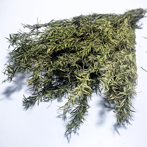 L'BREVOGA Natural Dried Verdant Foliage Bundle, Dried Eucalyptus, Preserved Botanical Greenery for Floral Arrangements, Home Decor, DIY Crafts