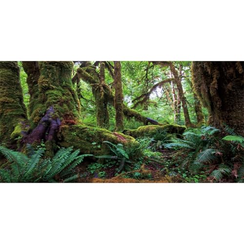 60x24 in Terrarium Backdrop Rainforest Moss Tree Reptile Habitat Background | AWERT Green Tropical Forest Polyester Aquarium Background - size: 60x24in/150x60cm